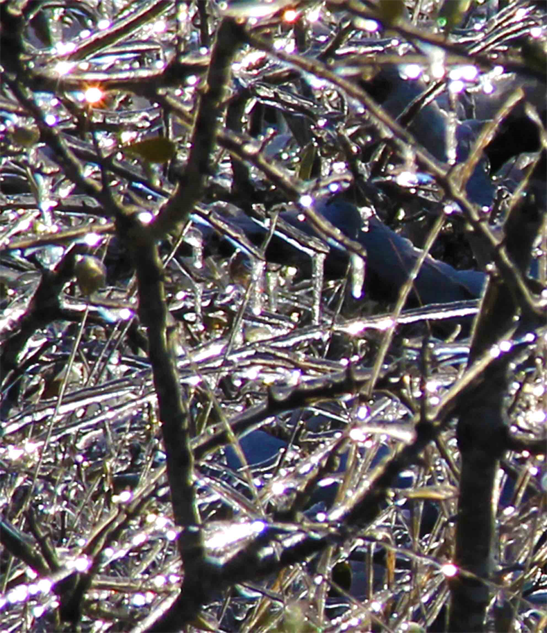 Art Photography
Austin Texas Artist DAPACU