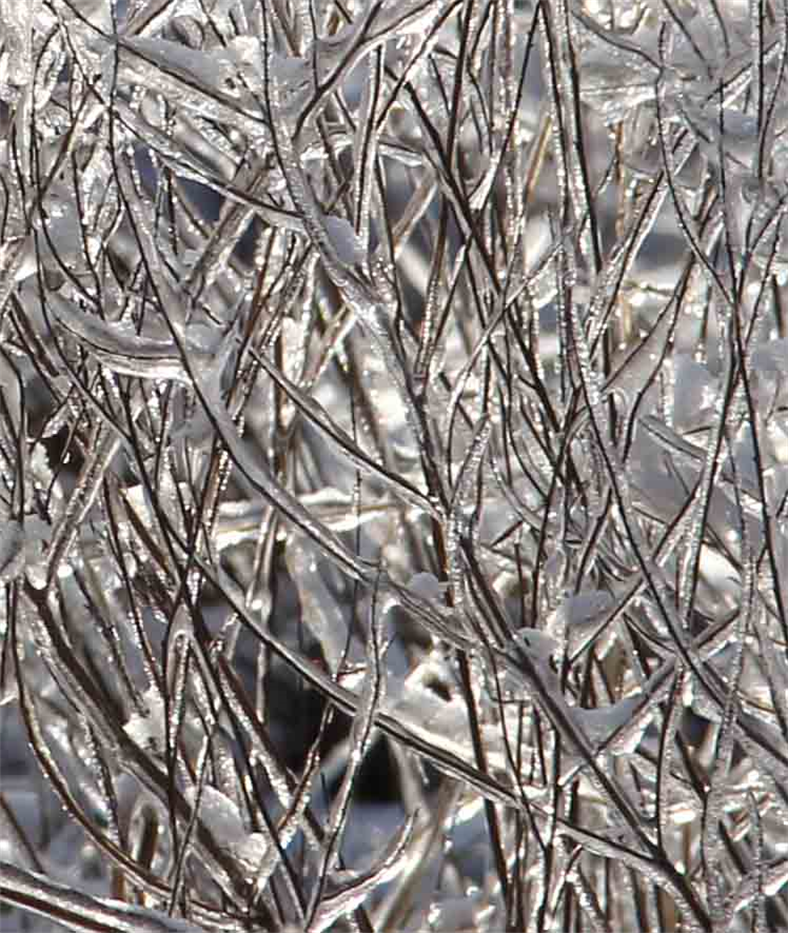 ICE PHOTOGRAPHY
Artist DAPACU